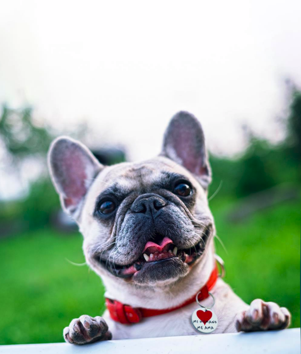 AD8 Promoção de Vendas & Serviços